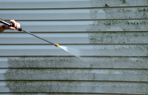 Best Building Exterior Washing  in Scotts Hill, TN